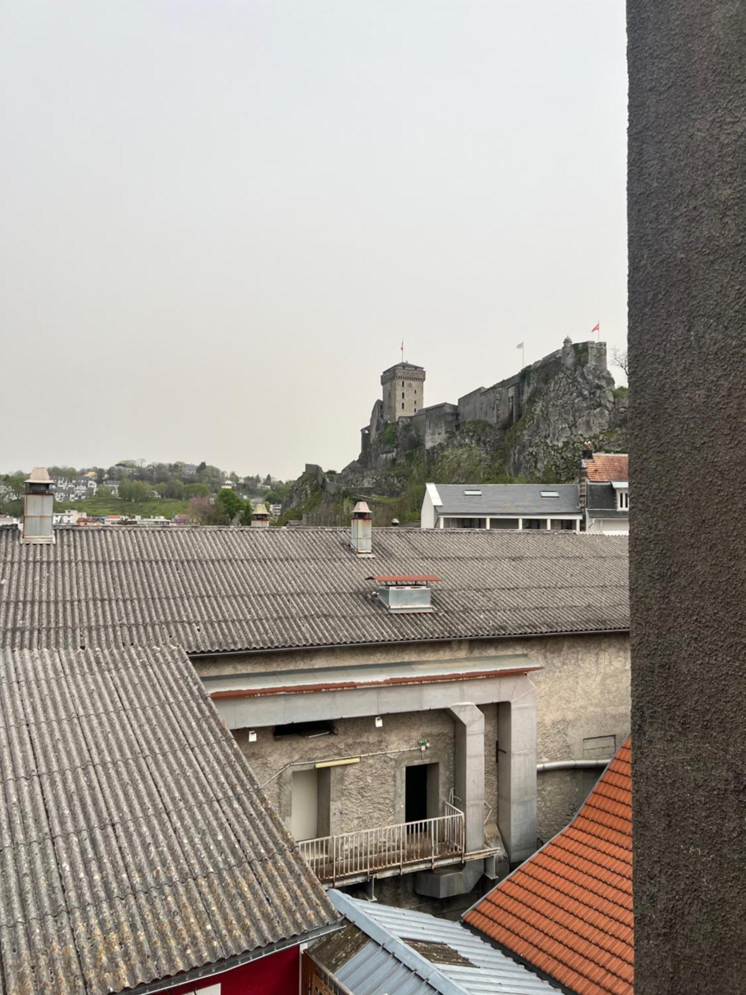 Residence Sainte Therese - La Villa Selva Лурд Екстериор снимка