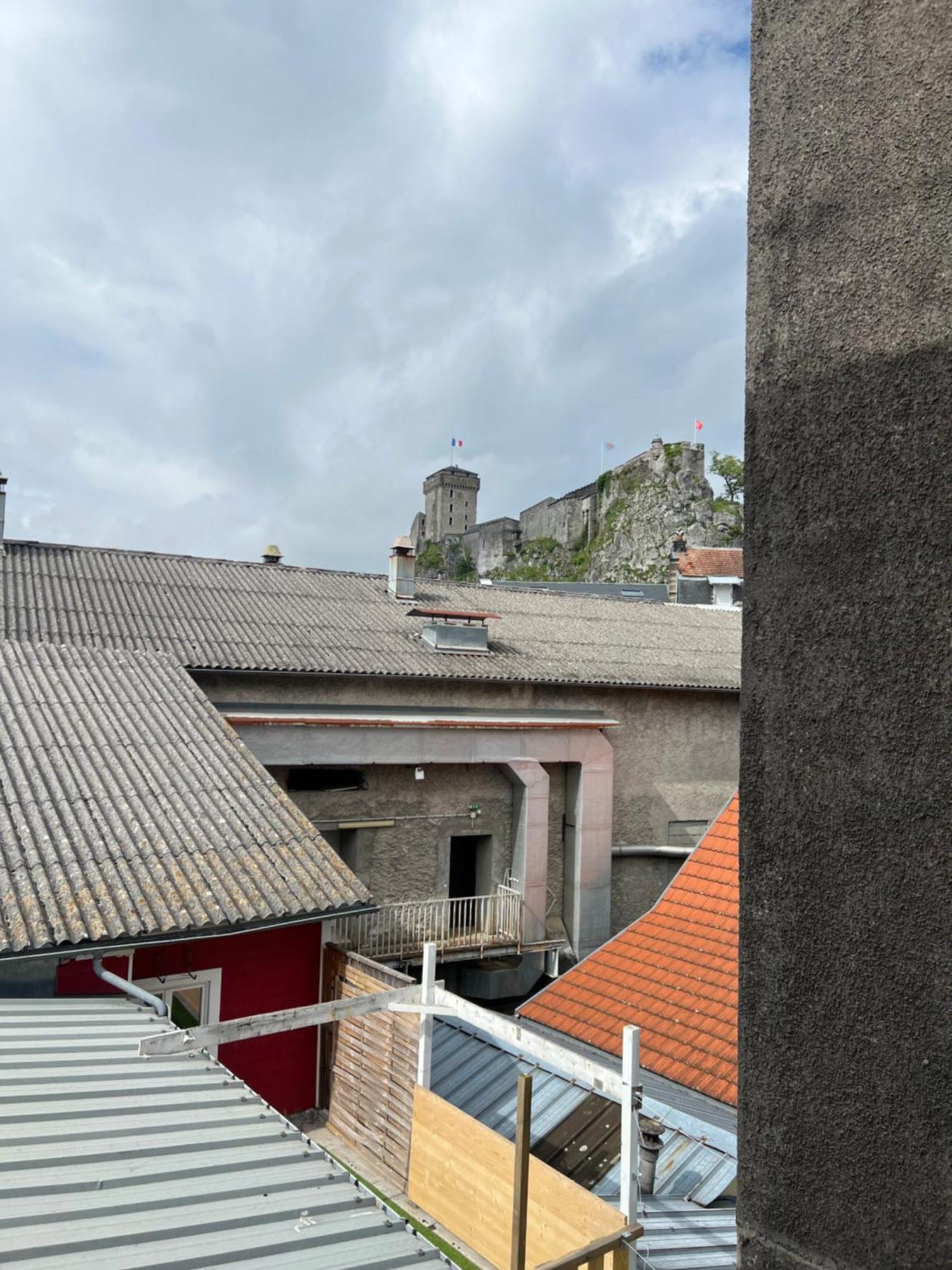 Residence Sainte Therese - La Villa Selva Лурд Екстериор снимка