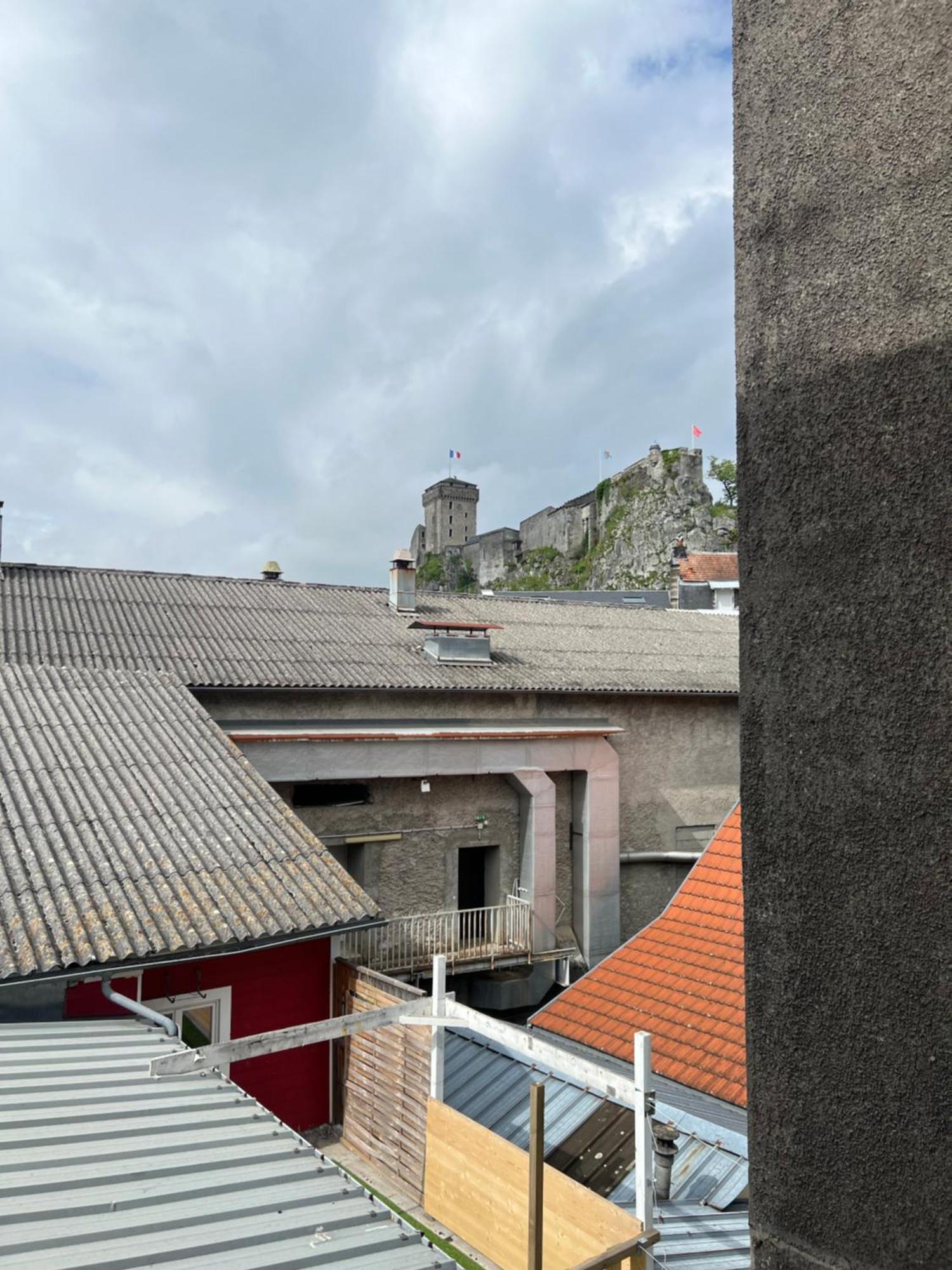 Residence Sainte Therese - La Villa Selva Лурд Екстериор снимка